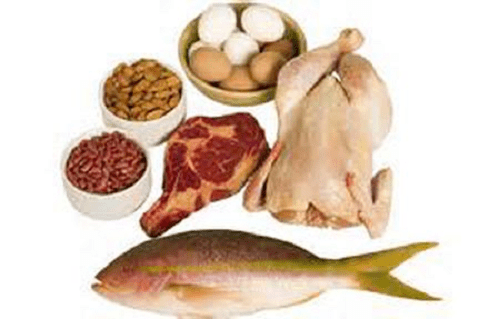 Fisch und Fleisch